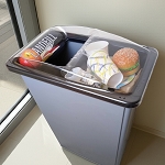 Black Landfill Vue Lid